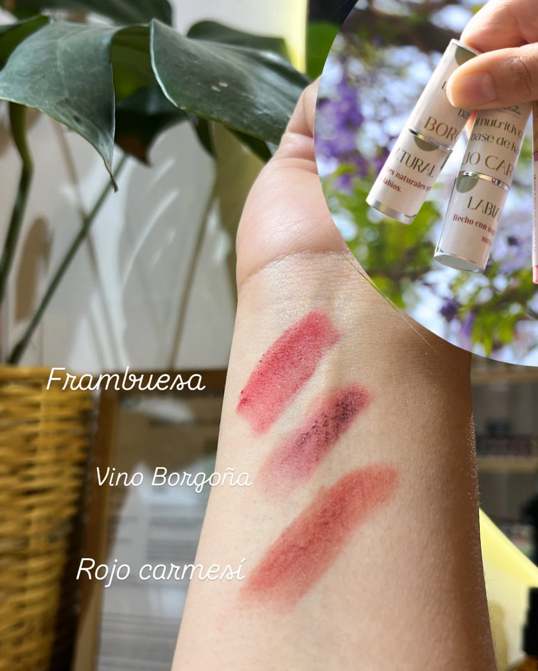 Labiales Naturales Karite